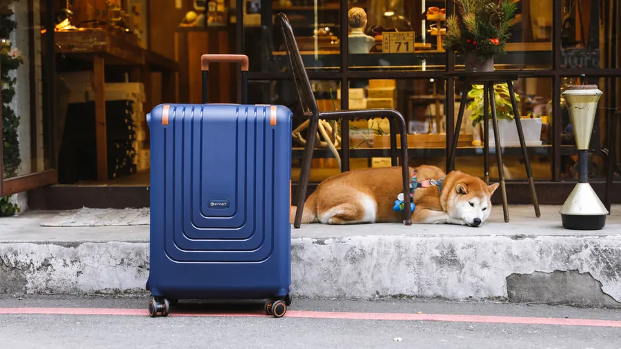Una maleta junto a un perro que descansa frente a una tienda.
